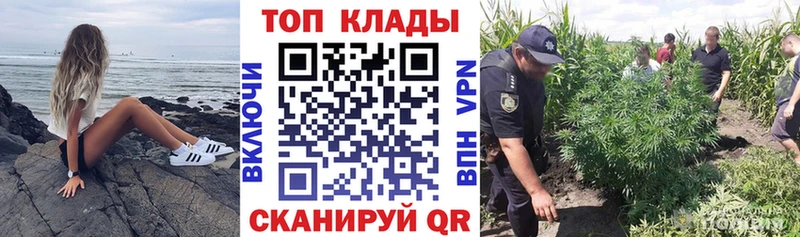 Виды наркоты Гурьевск Галлюциногенные грибы  Кокаин  ГАШИШ  Бошки Шишки  MEGA зеркало  АМФЕТАМИН 