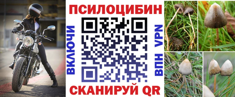 Псилоцибиновые грибы мухоморы Гурьевск