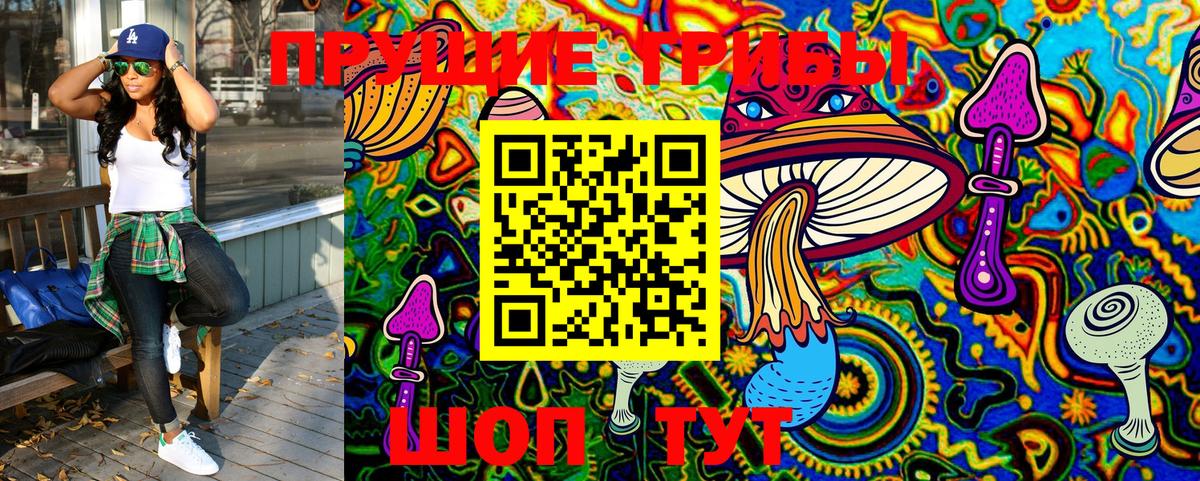 Галлюциногенные грибы прущие грибы  Гурьевск 