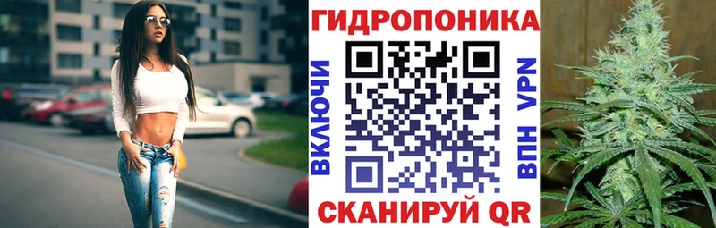 цена наркотик  Гурьевск  Бошки Шишки конопля 